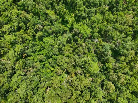 152 Nd Pl, Wellborn, FL 32094 photo 6