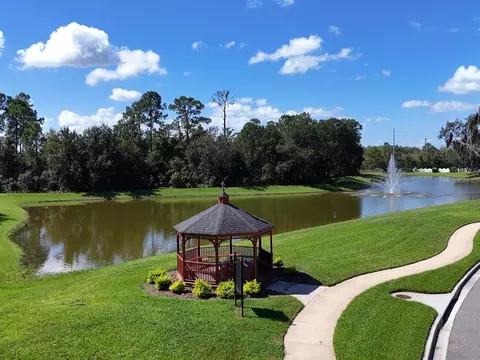 View/Area - 13535 Bramham Ln, Windermere, FL 34786 photo 6 of 6