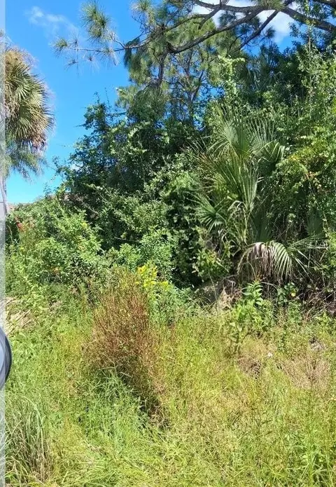 Gerhard Avenue, Palm Bay, FL 32908
