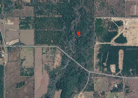 33 N 20-29000-002-0110 # -4, Defuniak Springs, FL 32433