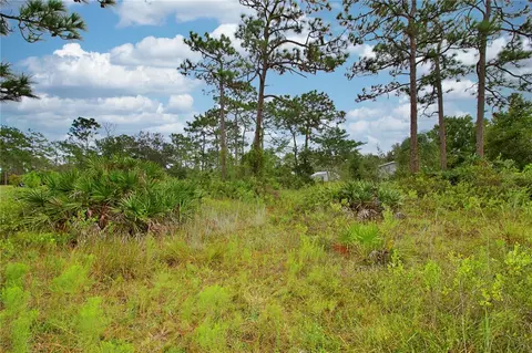 Pierre Avenue, Saint Cloud, FL 34773 photo 23