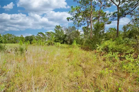 Pierre Avenue, Saint Cloud, FL 34773 photo 20