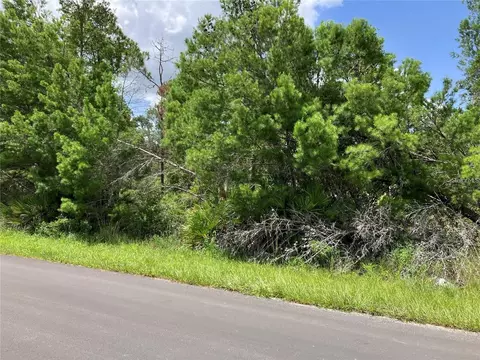 Forehand Road, Davenport, FL 33896