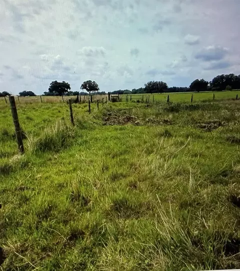 County Road 727, Webster, FL 33597 photo 2