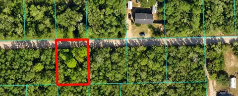 Ne 233 Ln, Fort Mc Coy, FL 32134