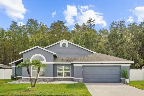 114 Blackwater Ct, Kissimmee, FL 34743