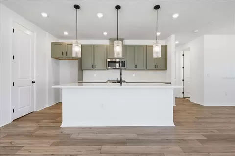 Kitchen - 30169 Emerald Forest Dr, Mount Dora, FL 32757 photo 3 of 5