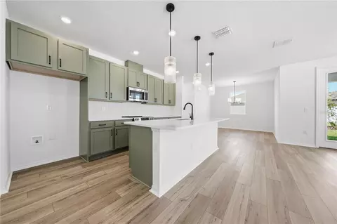 Kitchen - 30169 Emerald Forest Dr, Mount Dora, FL 32757 photo 2 of 5