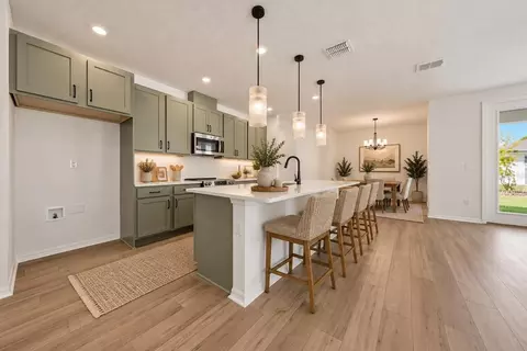 Kitchen - 30169 Emerald Forest Dr, Mount Dora, FL 32757 photo 1 of 5
