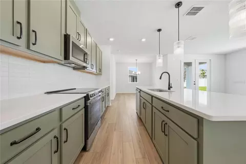 Kitchen - 30169 Emerald Forest Dr, Mount Dora, FL 32757 photo 5 of 5