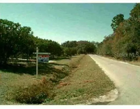 3821 Link Rd, Lithia, FL 33547 photo 1