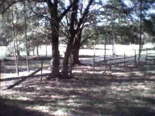 9817 Harold Bedford Rd, Riverview, FL 33569 photo 1