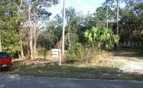 11609 Cr 682, Webster, FL 33597 photo 1