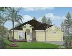 2417 Blue Stone Ct, Valrico, FL 33594 photo 1