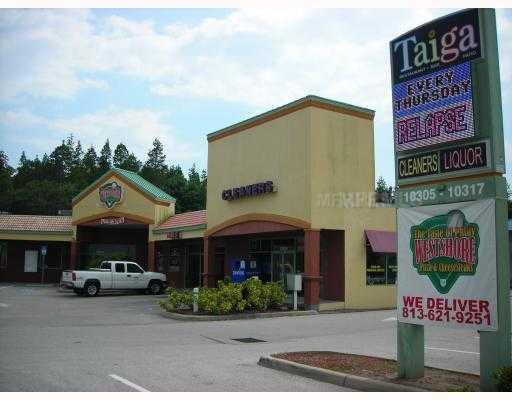 Undisclosed, Brandon, FL 33511 photo 1