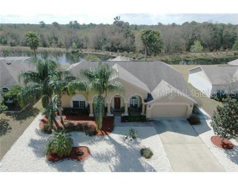 10512 Sedgebrook Dr, Riverview, FL 33569 photo 1
