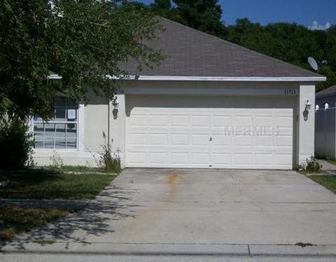 11713 Ivy Flower Loop, Riverview, FL 33578 photo 1