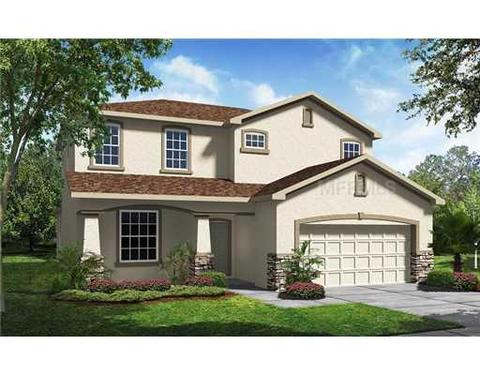 10804 Navigation Dr, Riverview, FL 33579 photo 1