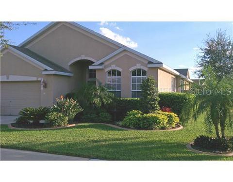 11103 Silver Dancer Dr, Riverview, FL 33579 photo 1