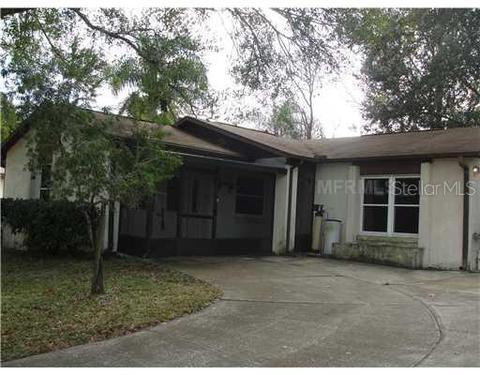 1013 Tiburon Dr, Seffner, FL 33584 photo 1