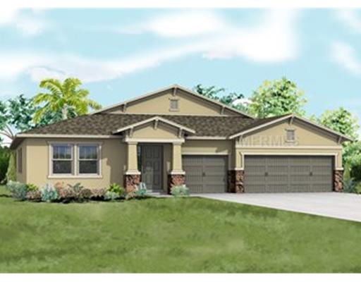 3314 Mapleridge Dr, Lutz, FL 33558 photo 1