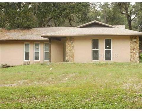 11902 E Old Hillsborough Ave, Seffner, FL 33584 photo 1