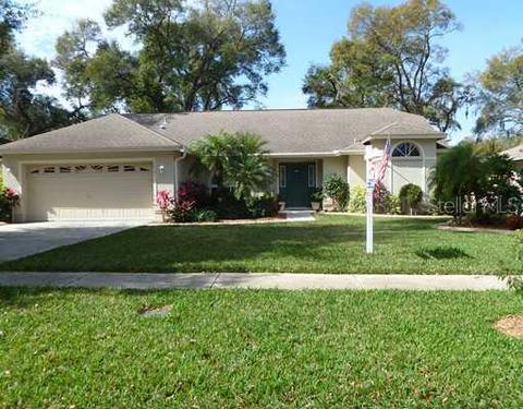 2933 Forest Reserve Pl, Seffner, FL 33584 photo 1