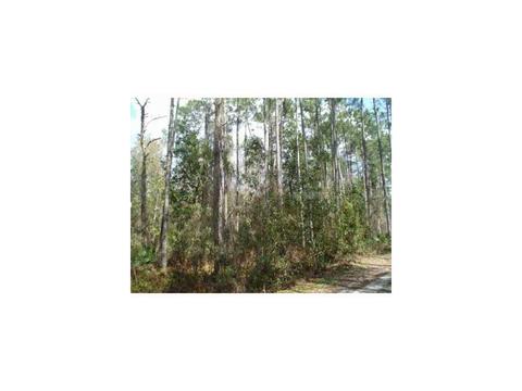 Undisclosed, Zephyrhills, FL 33544