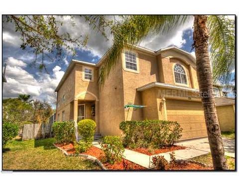 1715 Split Fork Dr, Oldsmar, FL 34677 photo 1