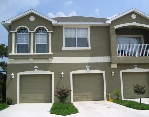 8946 Moonlit Meadows Loop, Riverview, FL 33578 photo 1