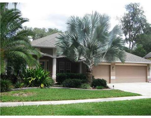919 Hickory Fork Dr, Seffner, FL 33584 photo 1
