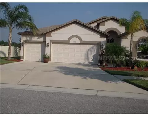 10909 Rockledge View Dr, Riverview, FL 33579 photo 1