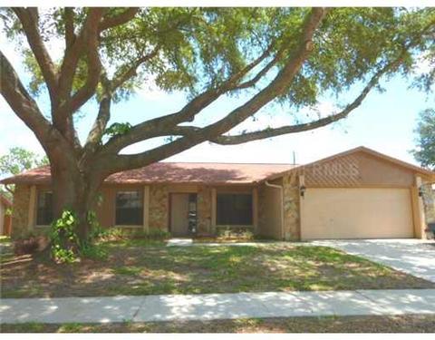 1455 Windjammer Loop, Lutz, FL 33559 photo 1