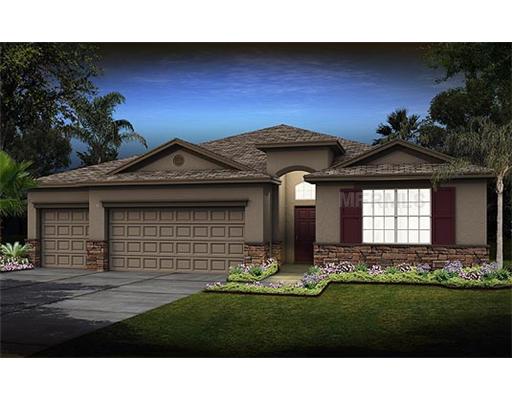 12126 Streambed Dr, Riverview, FL 33579 photo 1