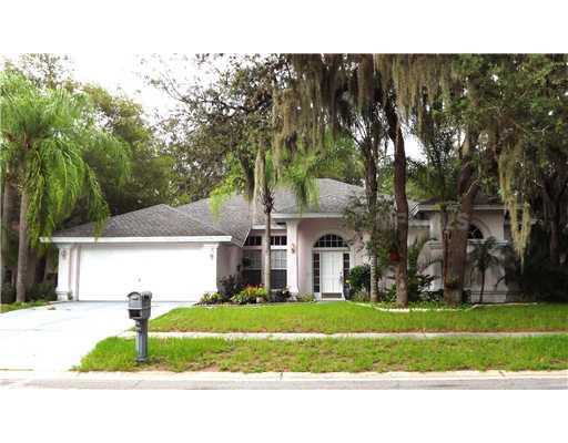 10432 Nightengale Dr, Riverview, FL 33569 photo 1