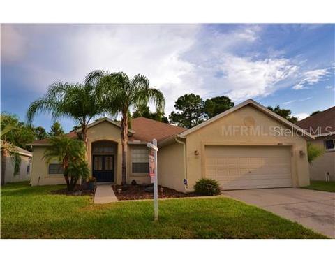 10020 Cannon Dr, Riverview, FL 33578 photo 1