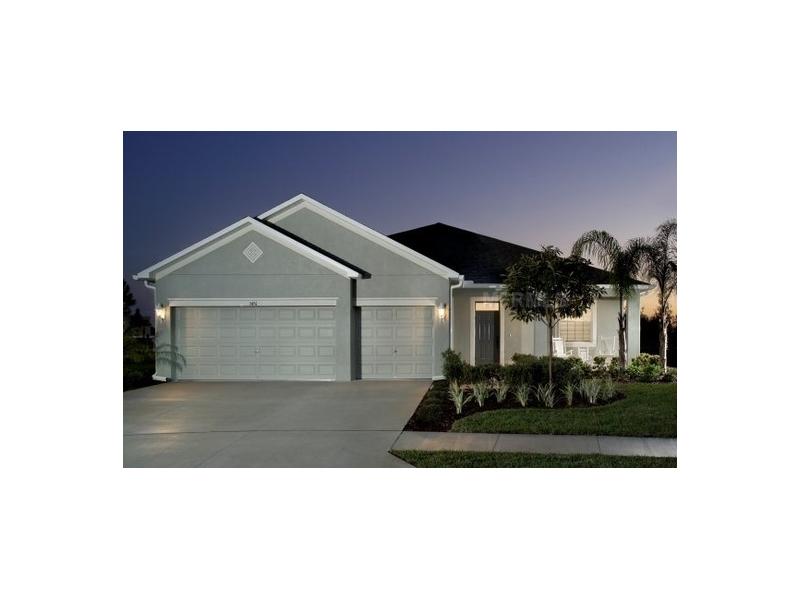 12124 Streambed Dr, Riverview, FL 33579 photo 1