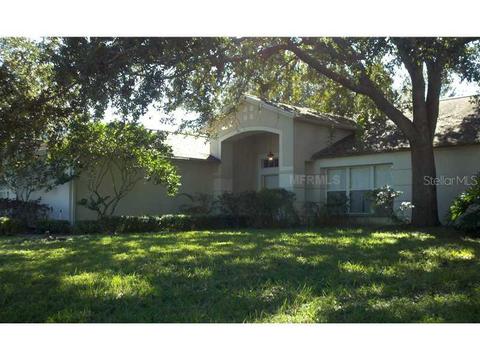 12313 Windswept Ave, Riverview, FL 33569 photo 1