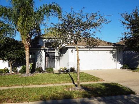 11012 Silver Dancer Dr, Riverview, FL 33579 photo 1