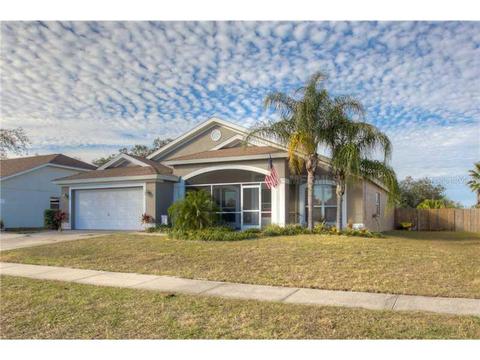 10405 Sedgebrook Dr, Riverview, FL 33569 photo 1
