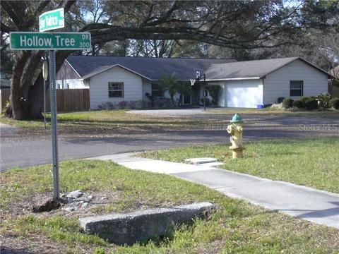 333 Hollow Tree Dr, Seffner, FL 33584 photo 1
