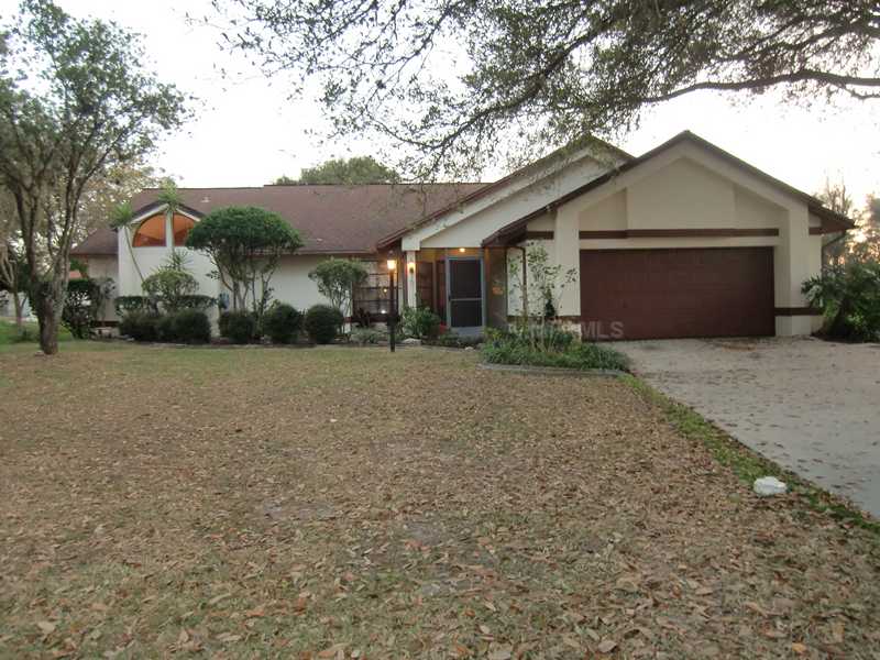 13203 Parkhurst Ct, Riverview, FL 33569 photo 1
