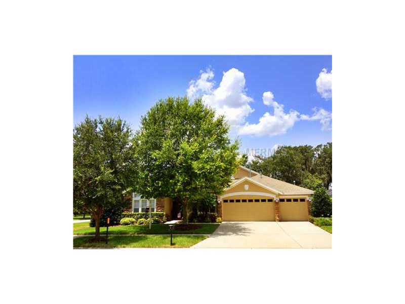 6125 Ibispark Dr, Lithia, FL 33547 photo 1