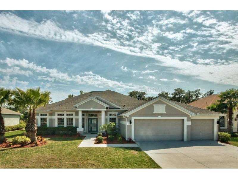11753 Newberry Grove Loop, Riverview, FL 33579 photo 1