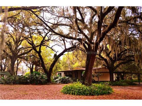 9842 Mcintosh Rd, Dover, FL 33527 photo 1