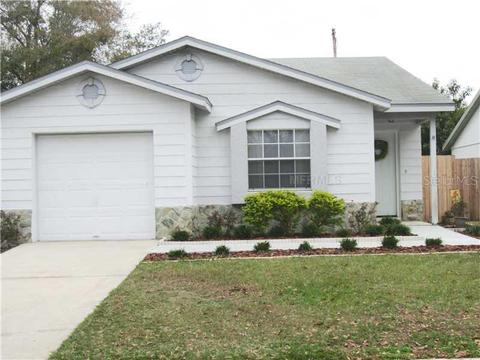 13433 Laraway Dr, Riverview, FL 33579 photo 1