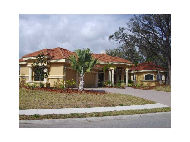 9903 Milano Dr, Trinity, FL 34655 photo 1