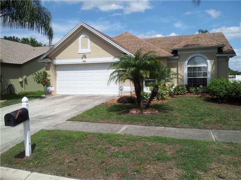 10101 Cedar Dune Dr, Tampa, FL 33624 photo 1