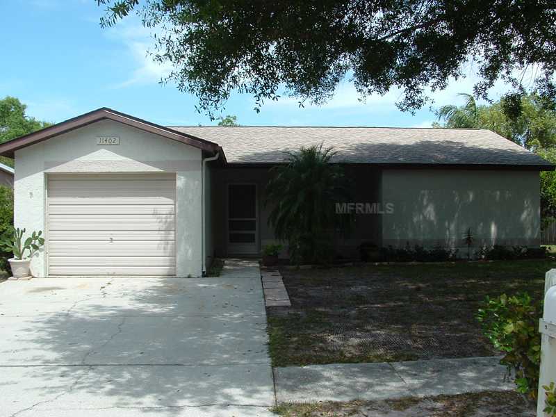 11402 Blackbark Dr, Riverview, FL 33579 photo 1