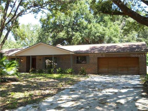 328 Hollowtree Dr, Seffner, FL 33584 photo 1